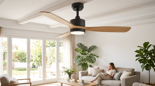 Ventiladores de techo