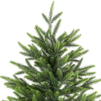 Parte superior del árbol sobre fondo blanco