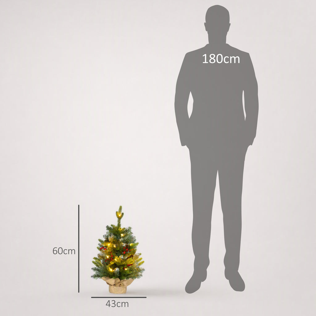 Tamaño del árbol de 60 cm comparado con una persona de 180 cm