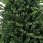 Detalle de las puntas de rama del árbol