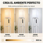 El ambiente perfecto: luz regulable de 3000 K a 6500 K