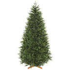 Árbol de Navidad Nordmann de 210 cm sobre fondo blanco