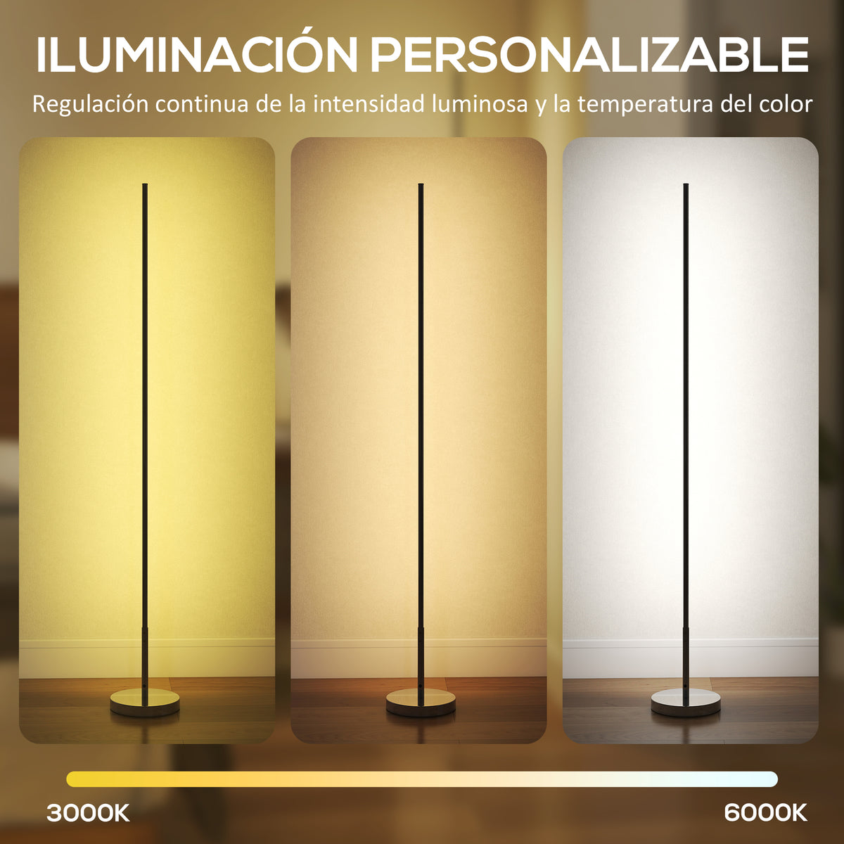 Iluminación personalizable de la lámpara de pie LED: tres tonos de luz de 3000 K a 6000 K
