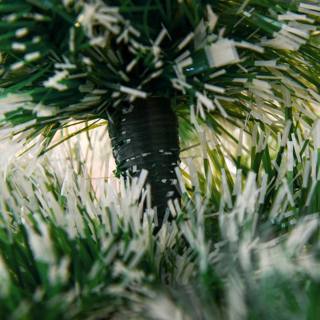Detalle de la base y el tronco del árbol