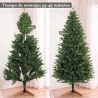 Árbol antes y después de dar forma a las ramas, 35-45 minutos