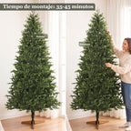 Árbol antes y después de dar forma a las ramas, 35-45 minutos