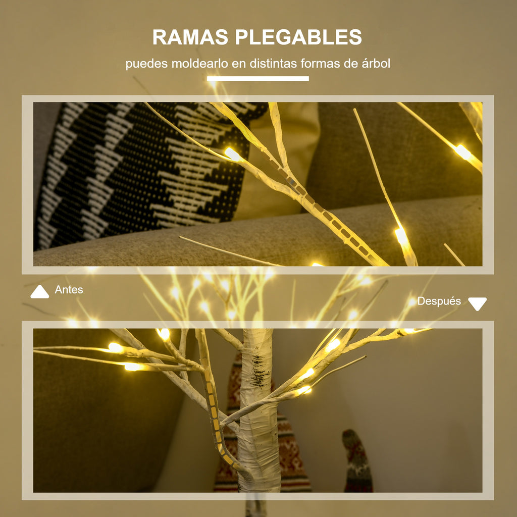 Ramas plegables: el árbol de abedul antes y después de moldear sus ramas