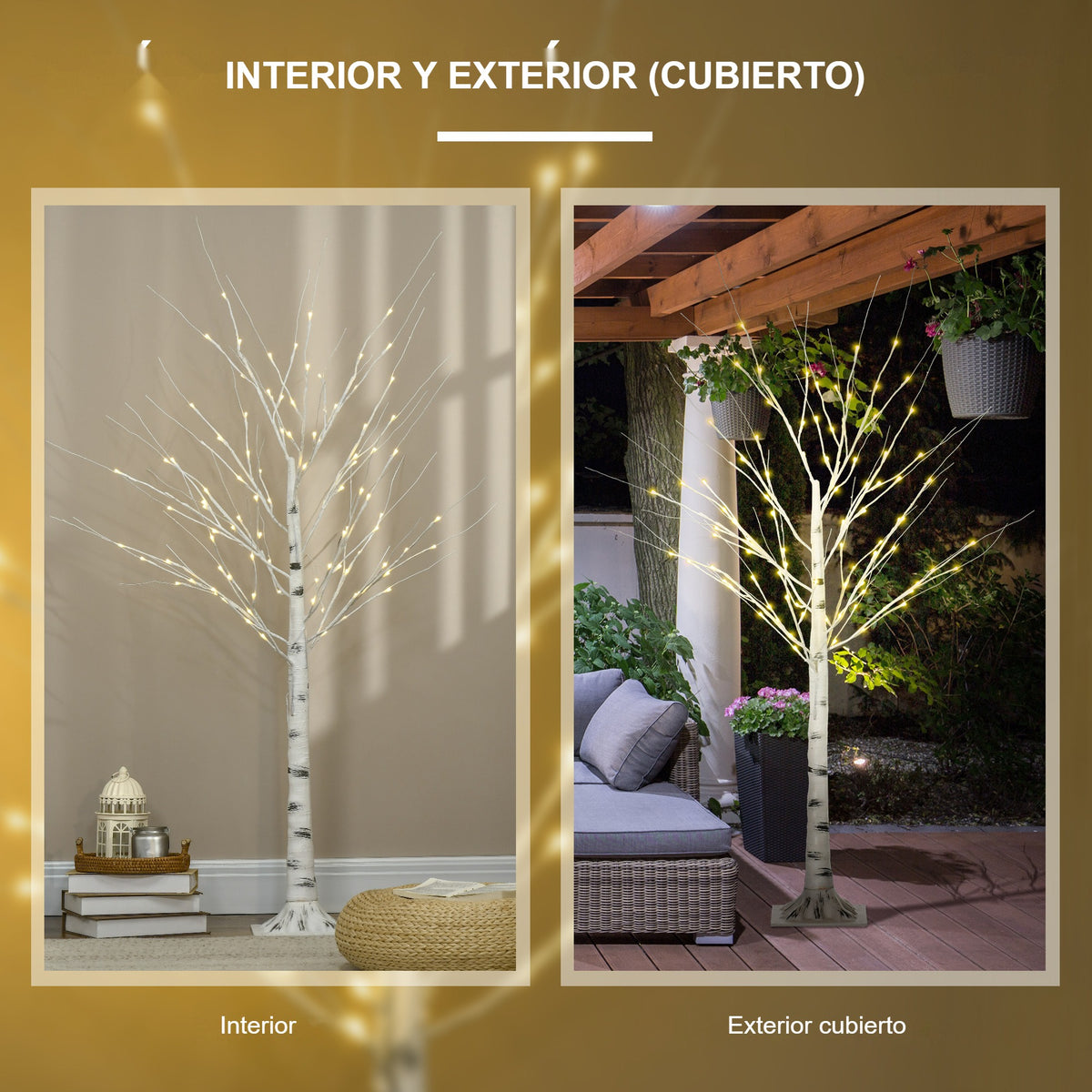 Interior y exterior cubierto: el árbol de abedul luminoso en un salón y en una terraza cubierta