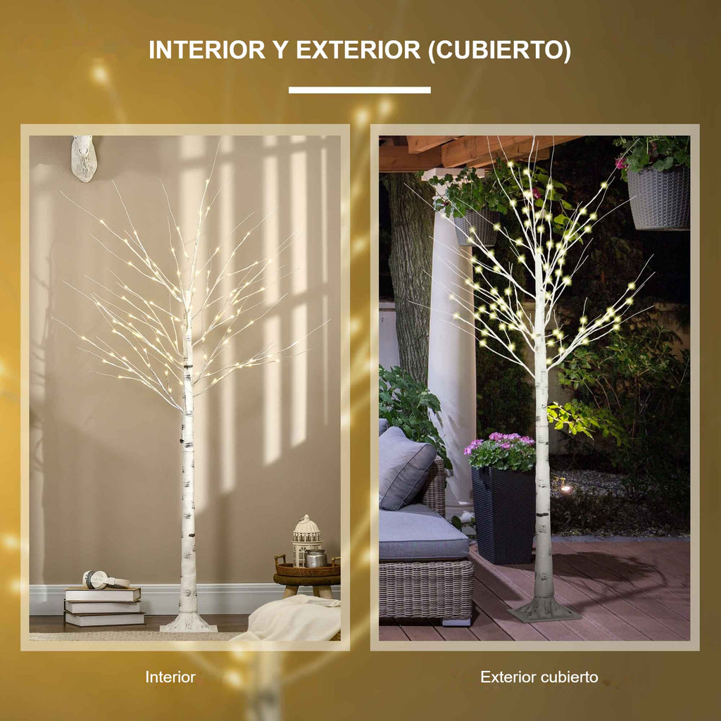 Interior y exterior cubierto: el árbol de abedul luminoso en un salón y en una terraza cubierta