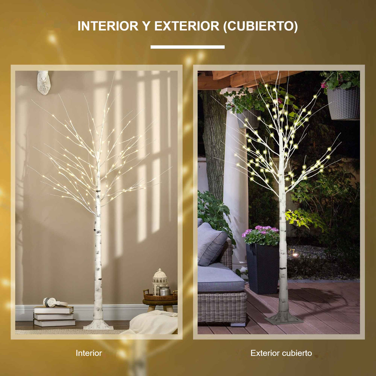 Interior y exterior cubierto: el árbol de abedul luminoso en un salón y en una terraza cubierta