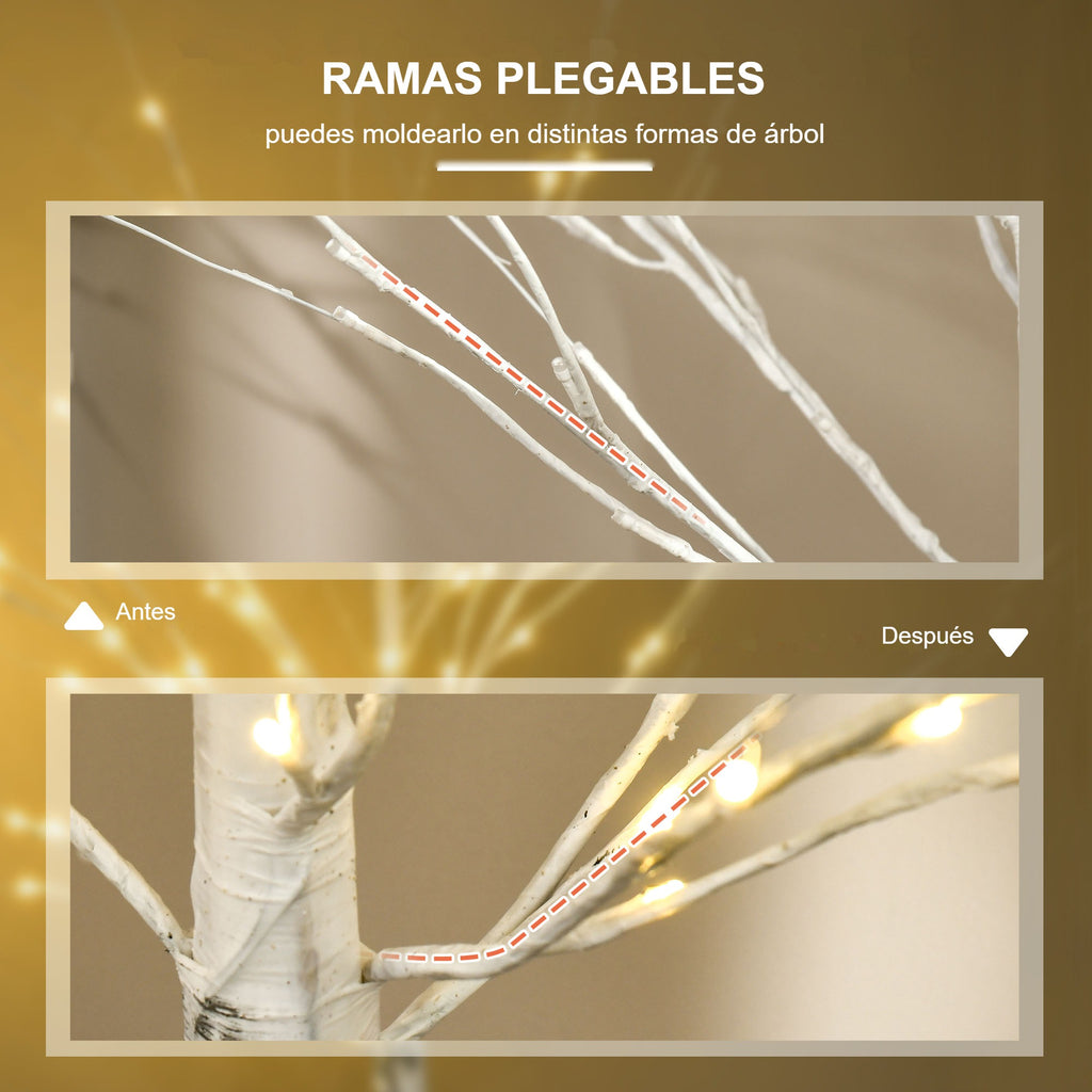 Ramas plegables: el árbol de abedul antes y después de moldear sus ramas