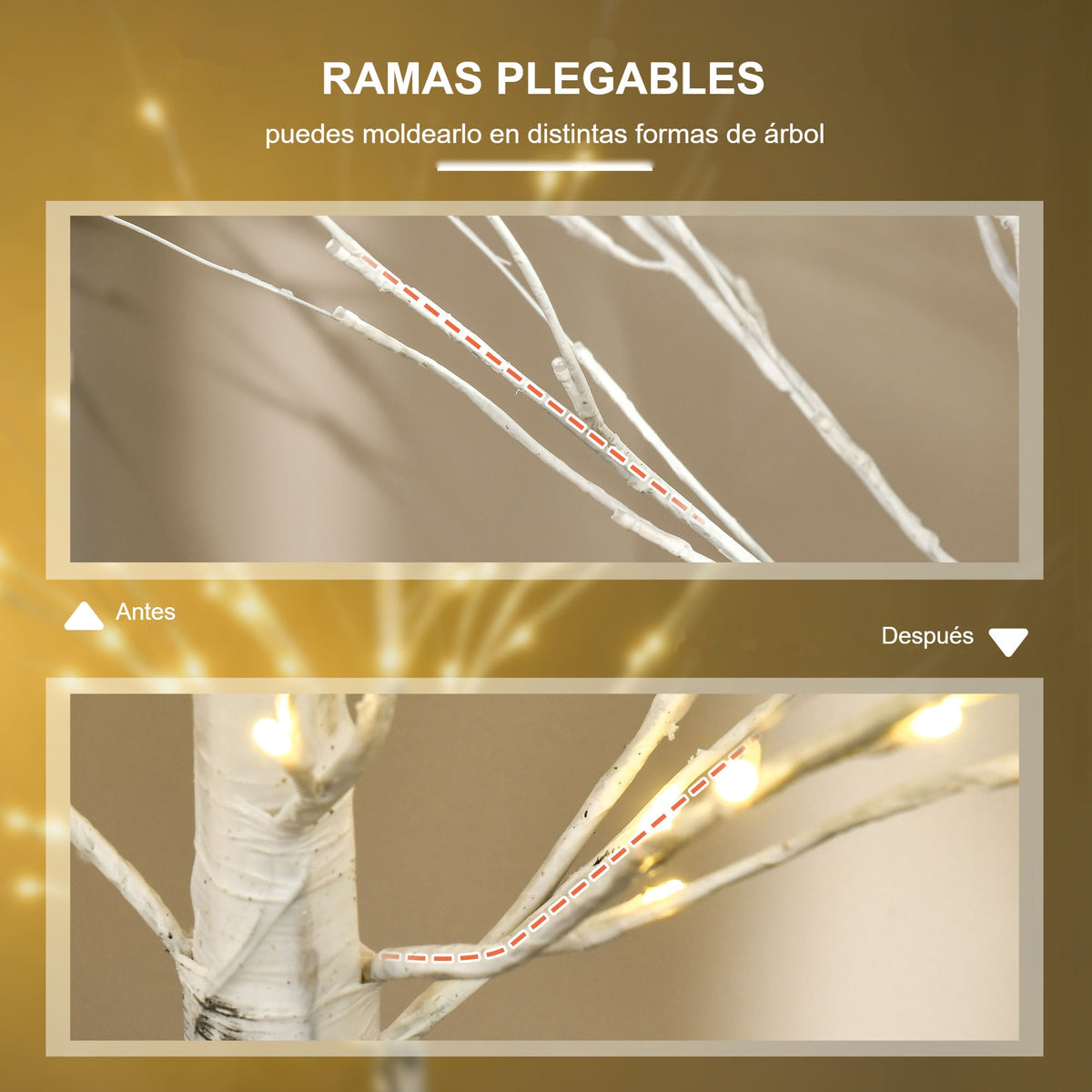 Ramas plegables: el árbol de abedul antes y después de moldear sus ramas