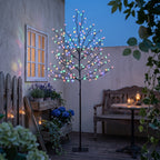 Árbol de cerezo luminoso multicolor en un patio resguardado al atardecer