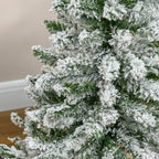 Detalle de las ramas cubiertas de nieve